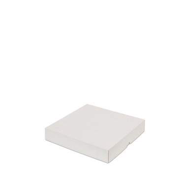 Stülpdeckelkarton, 300 x 300 x 50 mm, weiß, 2-teilig (mit Deckel)